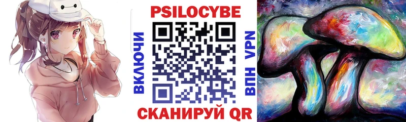 Купить Полысаево Галлюциногенные грибы Psilocybe